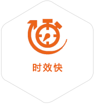 东平农场到比利时物流公司